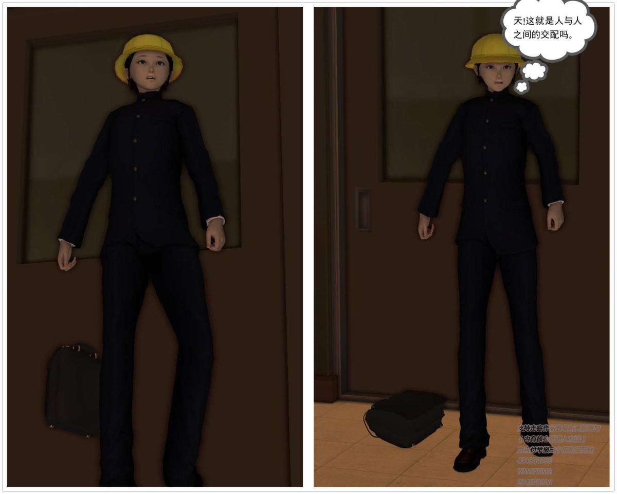 243.jpg