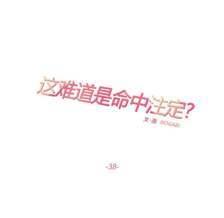 这难道是命中注定第38話