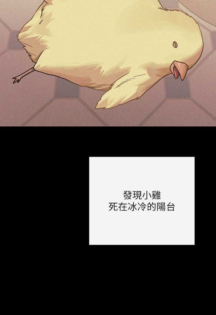 富家女姐姐最終話-幸福美滿的家庭