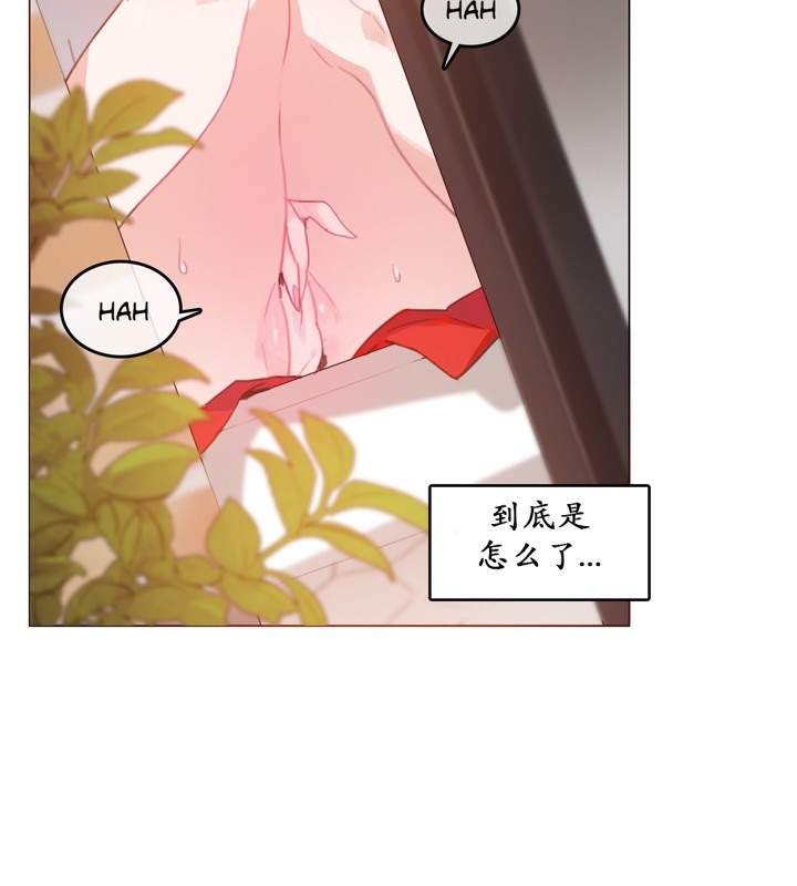 一个变态的日常生活第16话