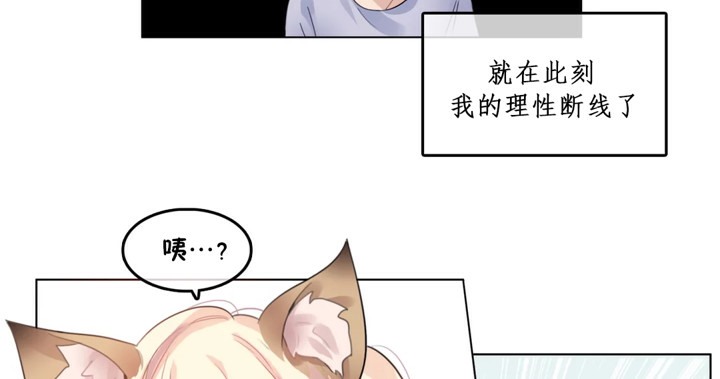一个变态的日常生活第39话