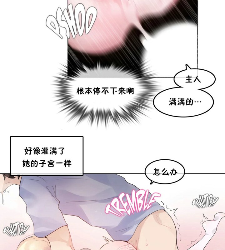 一个变态的日常生活第40话