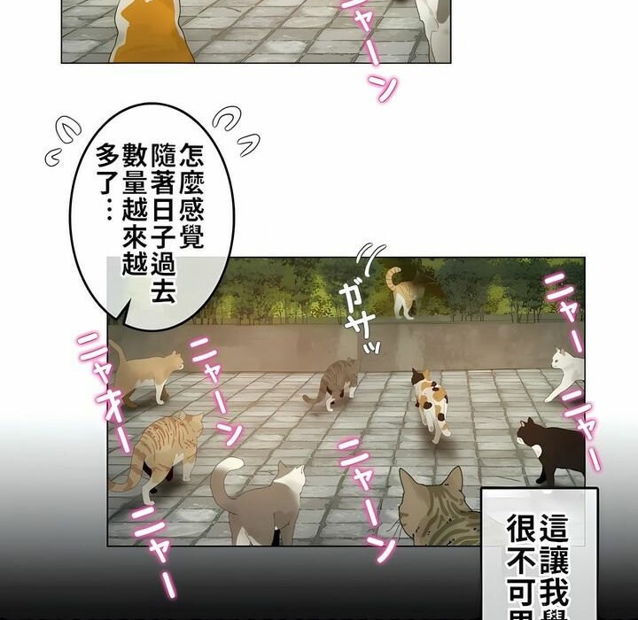 一个变态的日常生活第72话