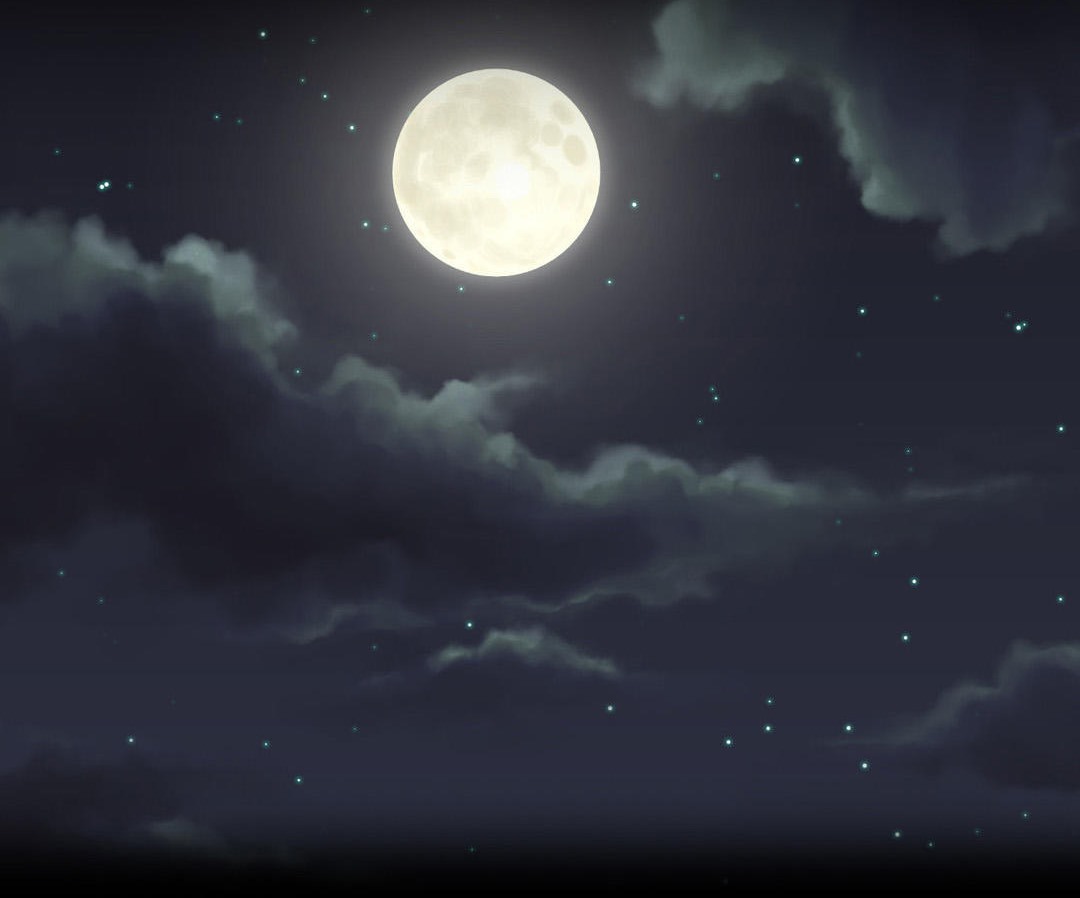 夫人的礼物第2话