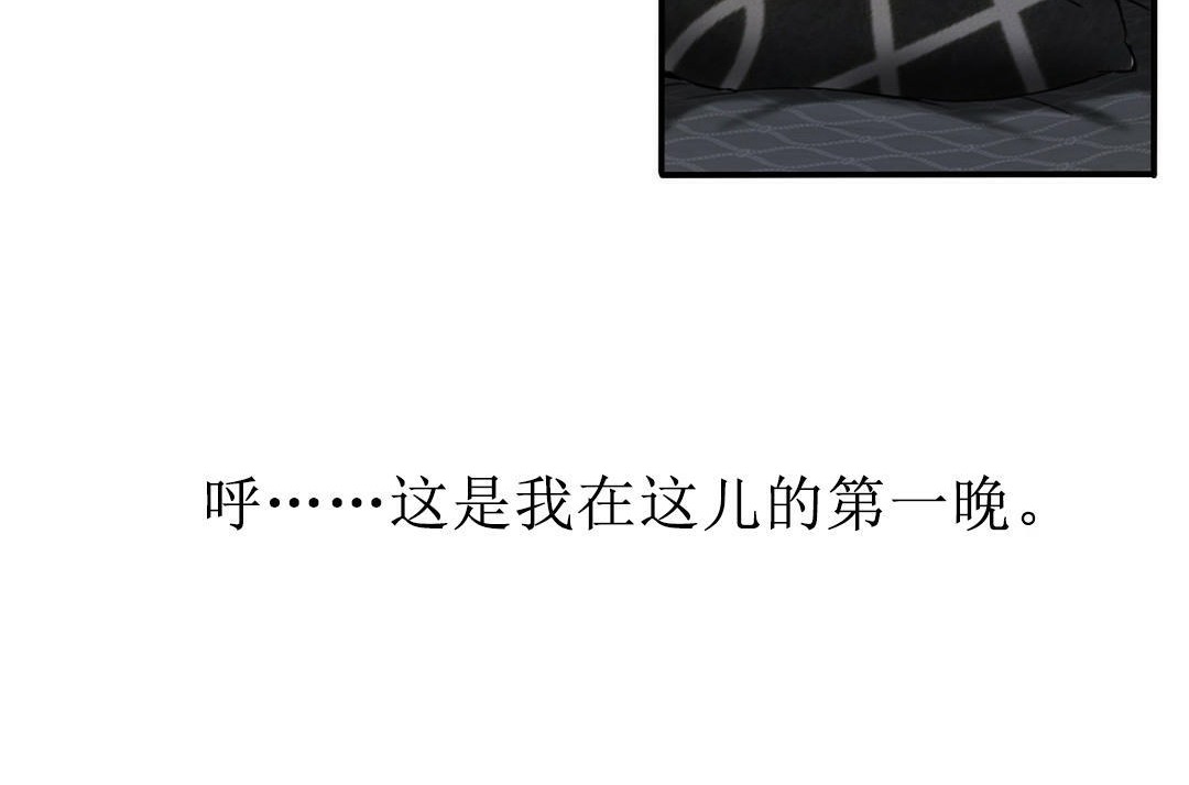 夫人的礼物第4话