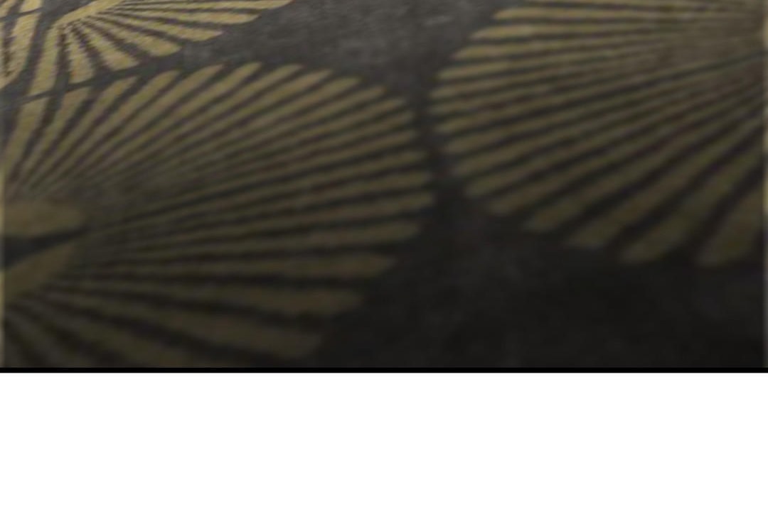 夫人的礼物第16话