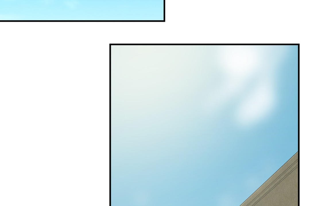 夫人的礼物第17话