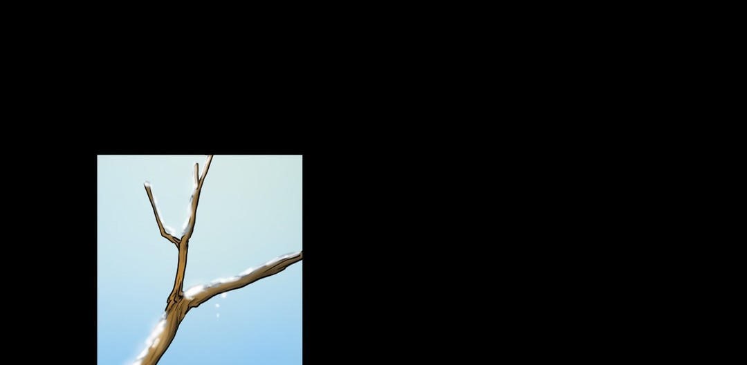 夫人的礼物第18话