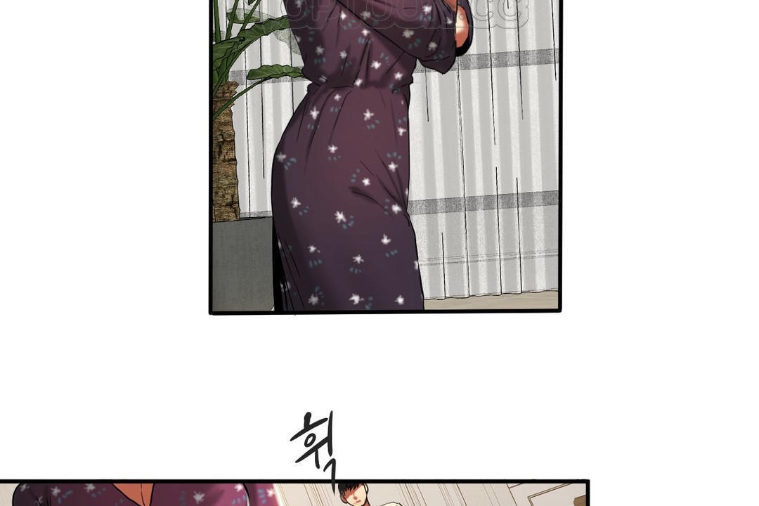 夫人的礼物第19话