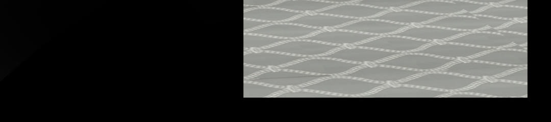 夫人的礼物第21话