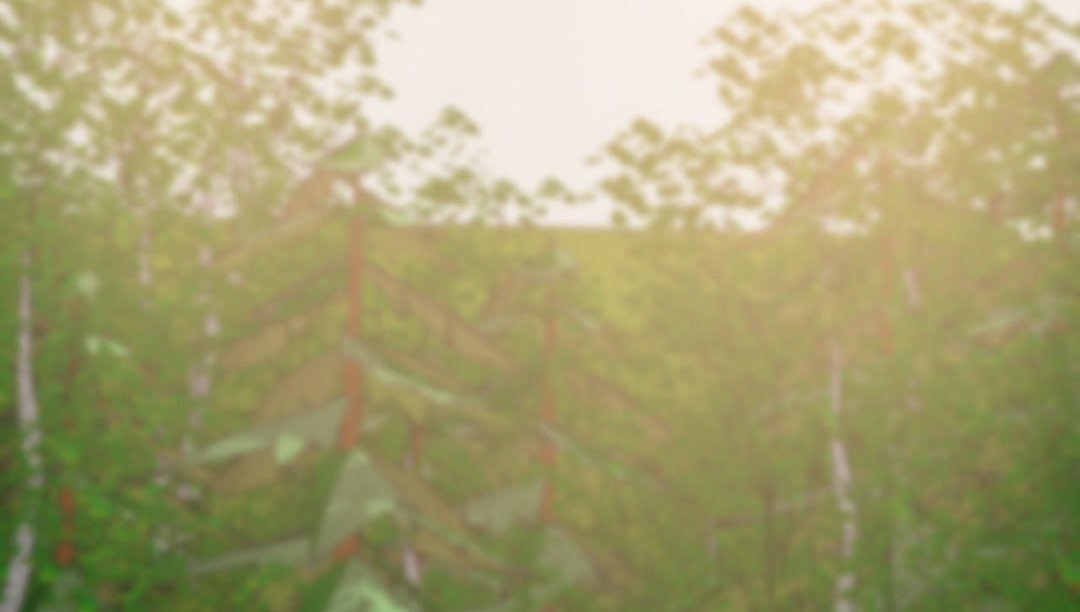 夫人的礼物第29话