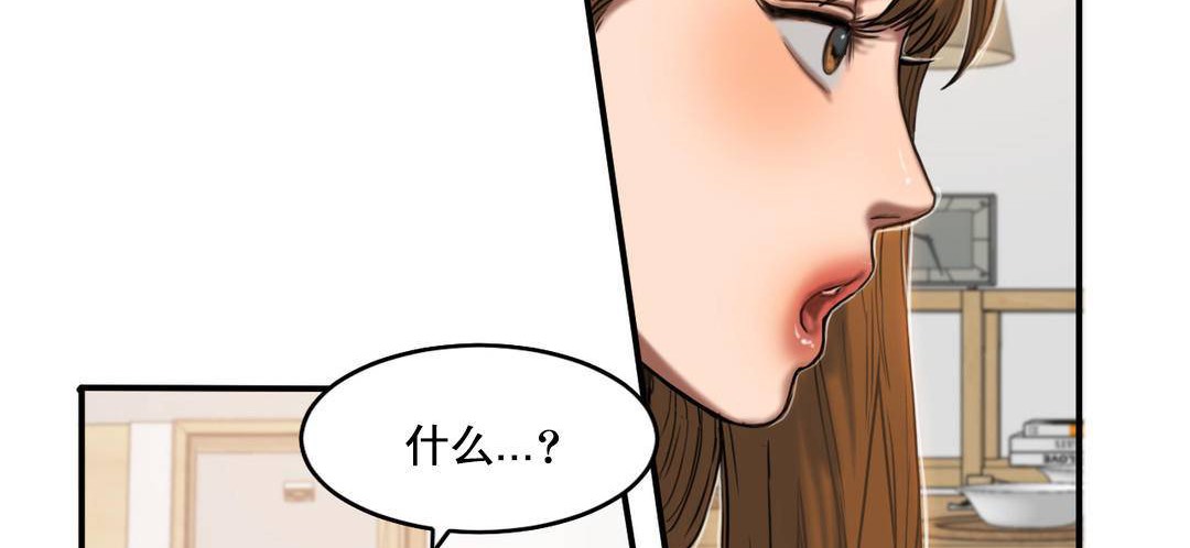 夫人的礼物第51话