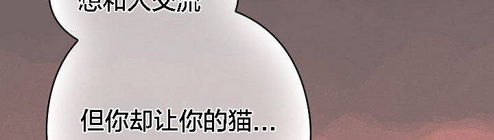 猫猫牵红线第3话