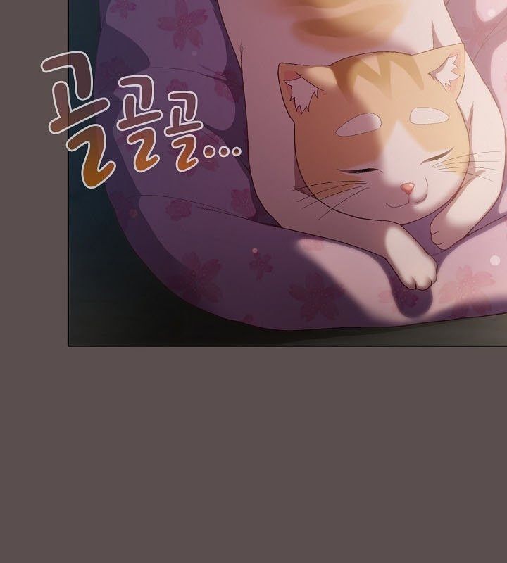 猫猫牵红线第9话