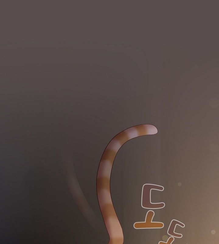 猫猫牵红线第9话