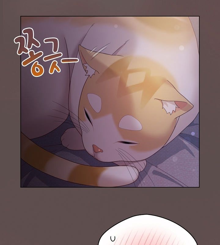 猫猫牵红线第10话