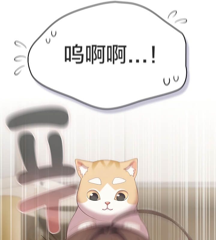 猫猫牵红线第11话