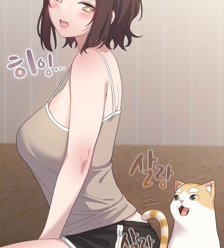 猫猫牵红线第11话