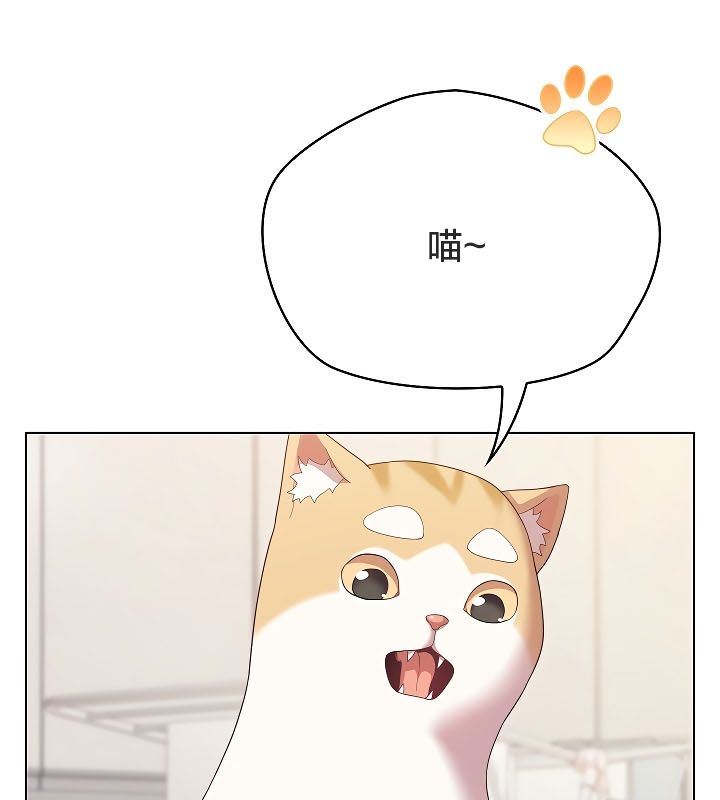 猫猫牵红线第11话