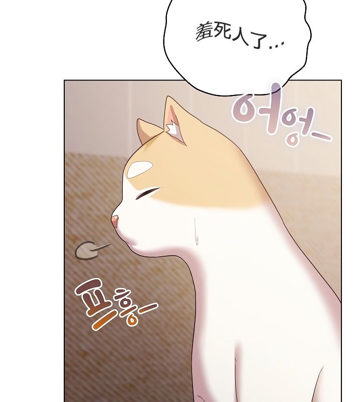 猫猫牵红线第11话
