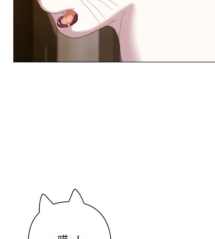 猫猫牵红线第12话