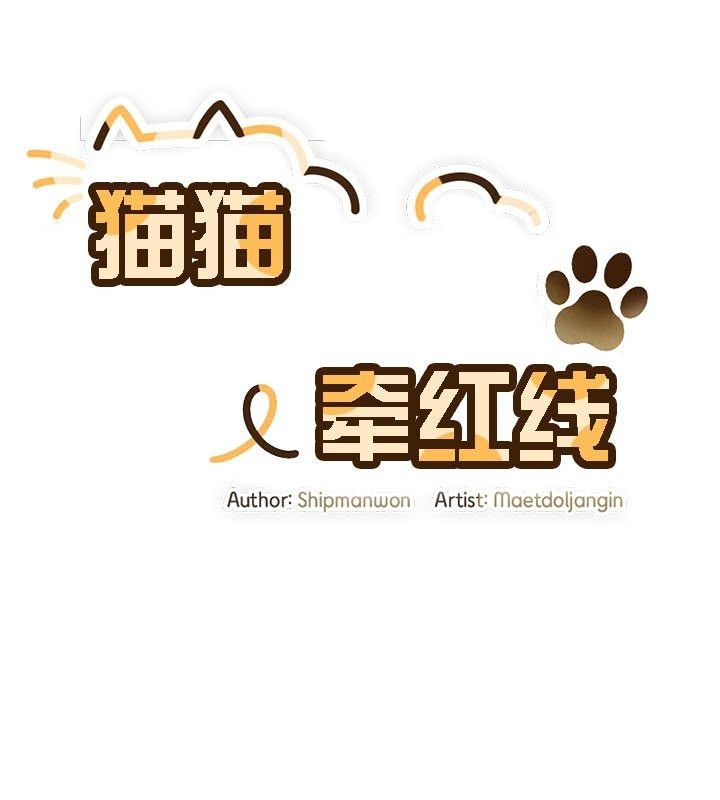 猫猫牵红线第13话