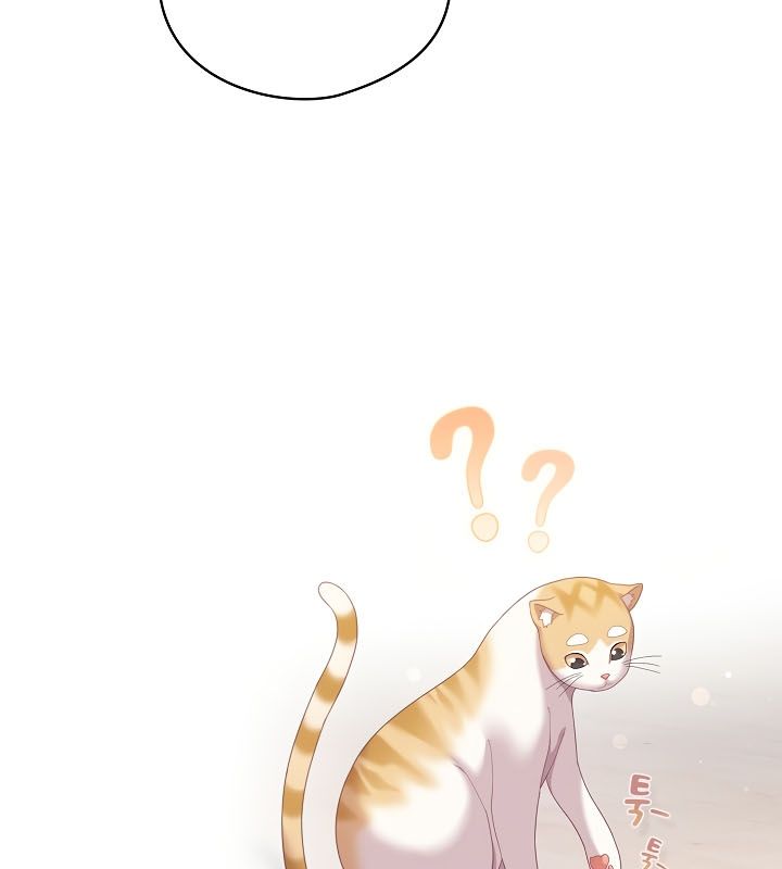 猫猫牵红线第13话