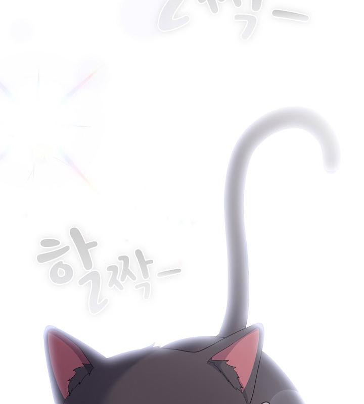 猫猫牵红线第14话