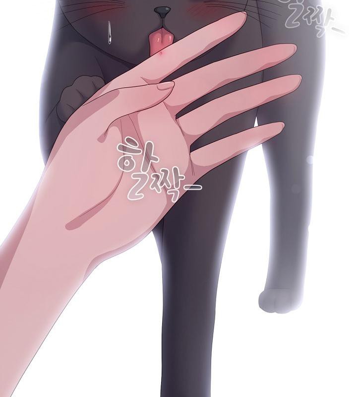 猫猫牵红线第14话