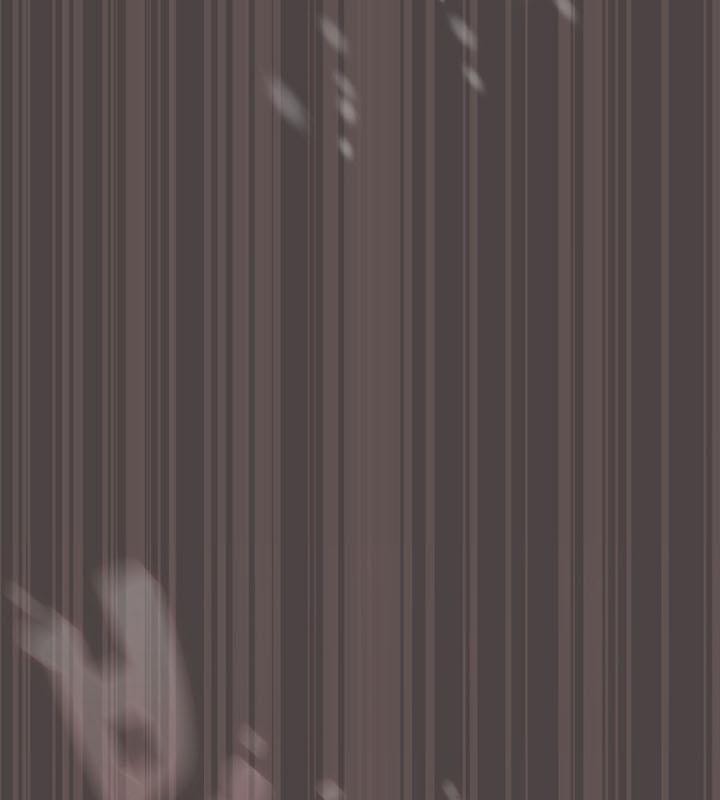 猫猫牵红线第17话