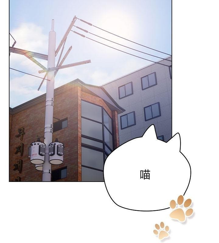 猫猫牵红线第18话