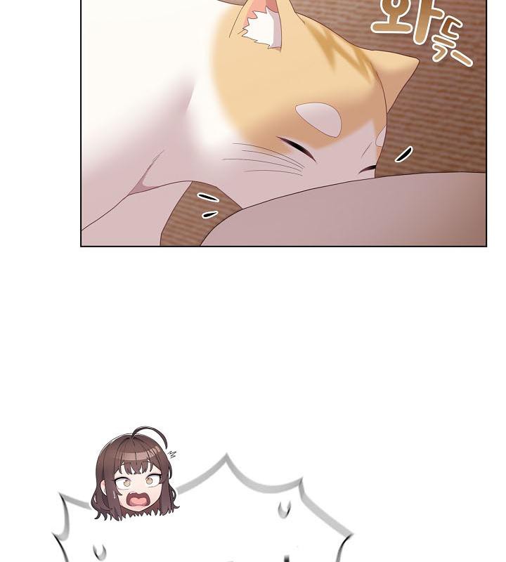 猫猫牵红线第18话