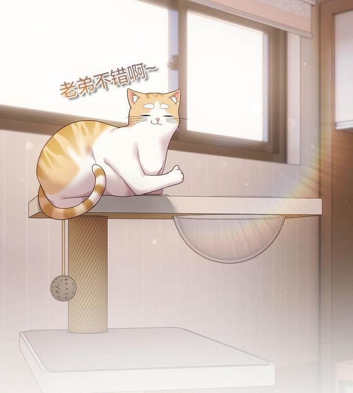 猫猫牵红线第18话