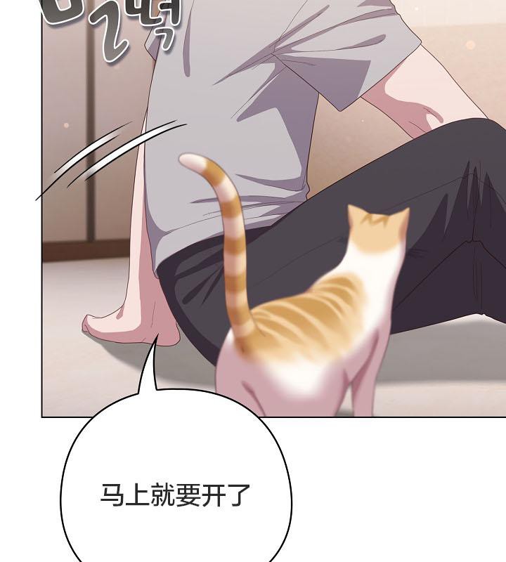 猫猫牵红线第18话