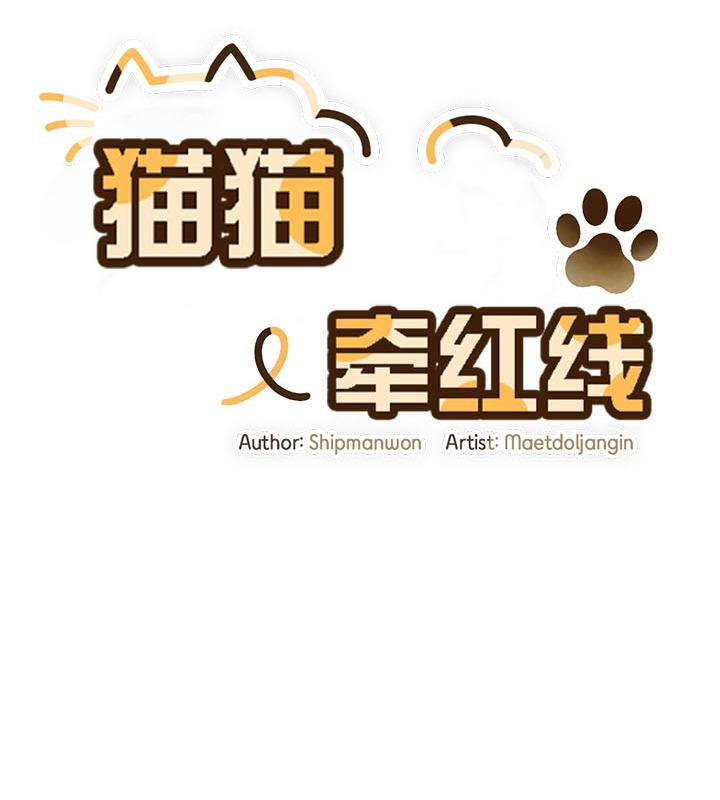 猫猫牵红线第19話