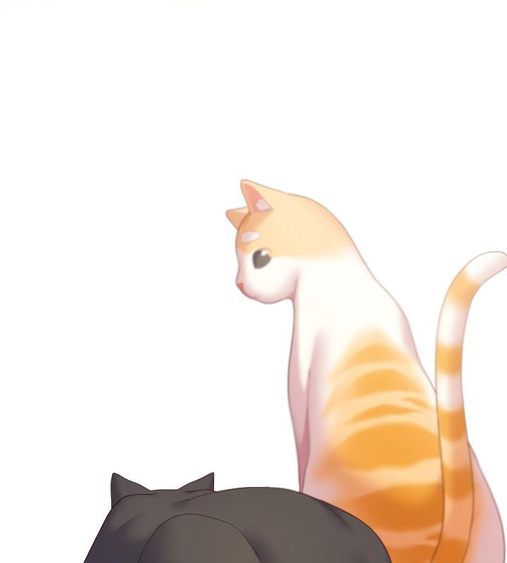 猫猫牵红线第19話