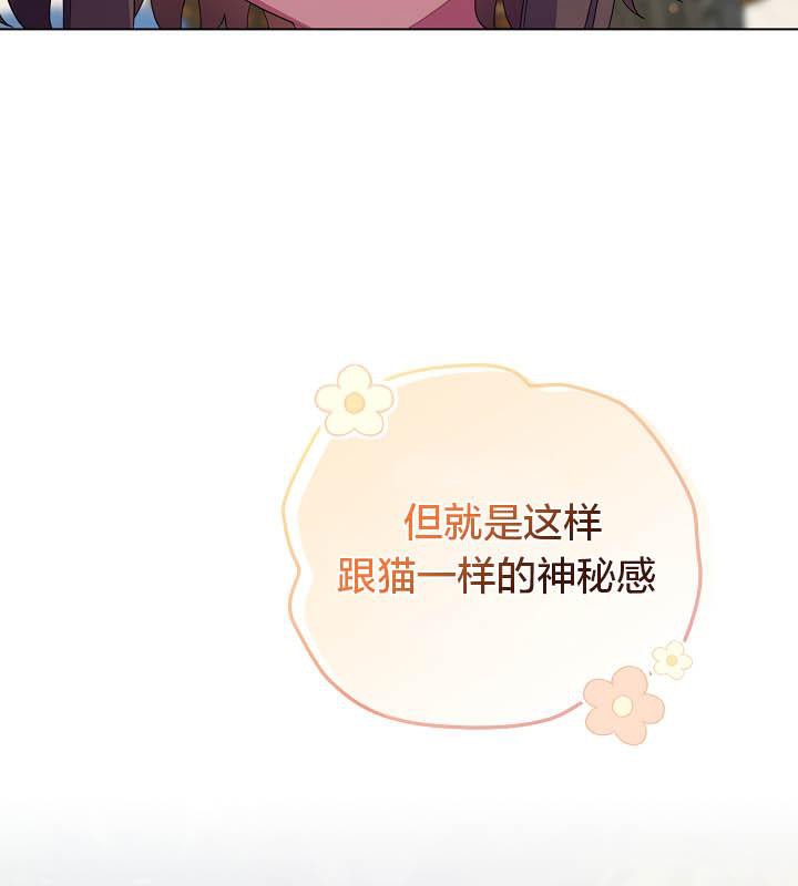 猫猫牵红线第19話