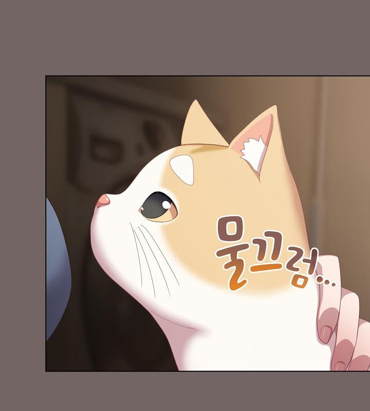 猫猫牵红线第20話