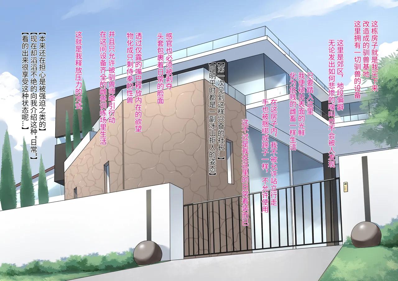 高冷大奶女上司暗底下是重度痴女母猪全集