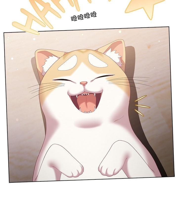 猫猫牵红线第24話