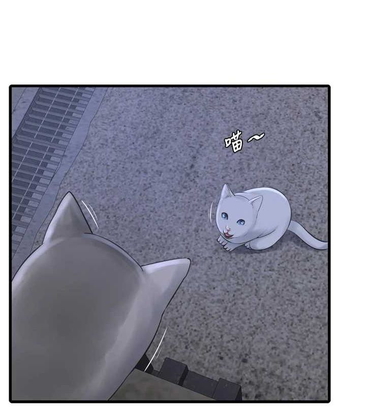 水电工日誌第78話-在沙發上演謎片劇情