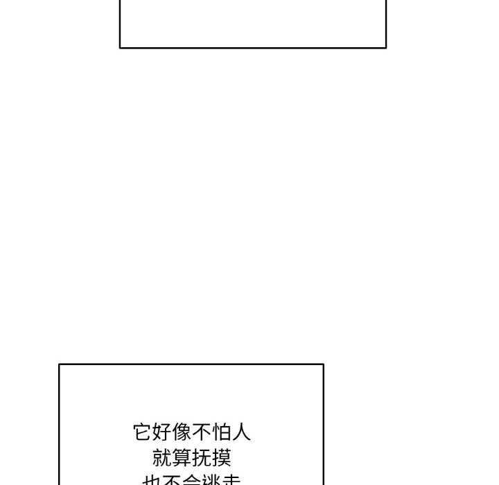 喵来的恋爱第1话