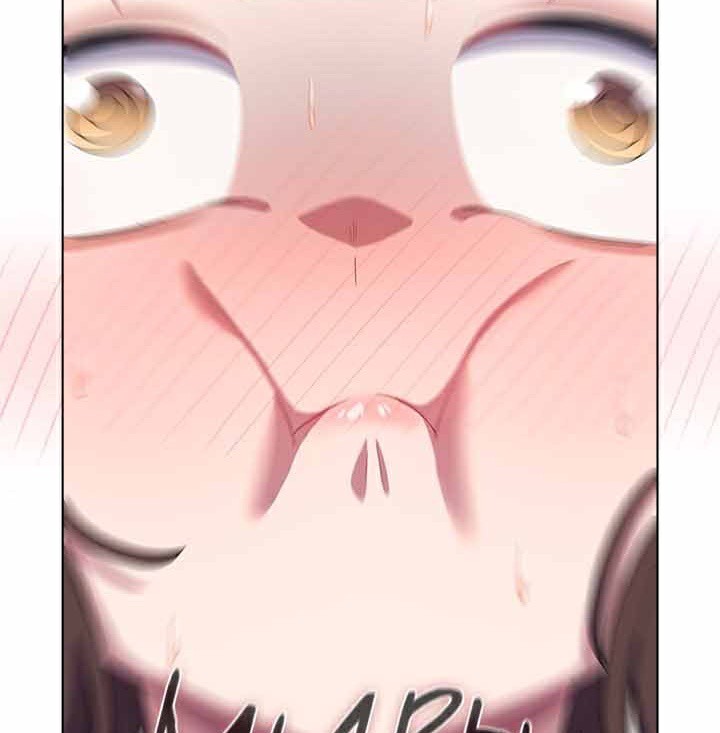 猫猫牵红线第28話