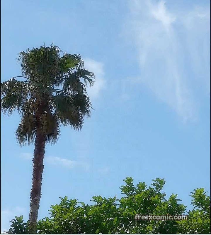 纵夏夜之梦(无码版)第26話-師奶殺手