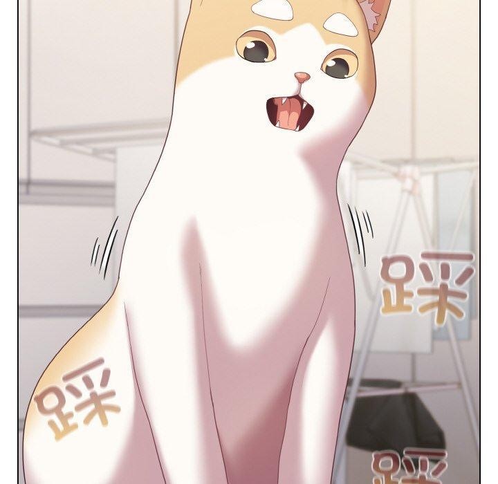 喵来的恋爱第11話