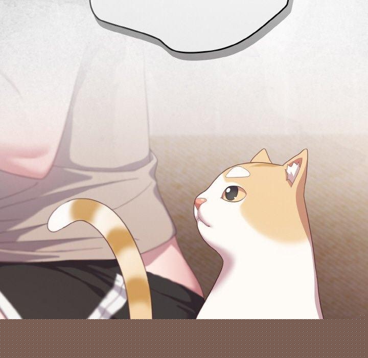 喵来的恋爱第11話